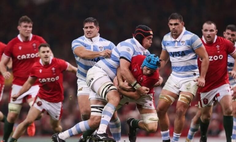 Los Pumas perdieron con Gales en un nuevo test match